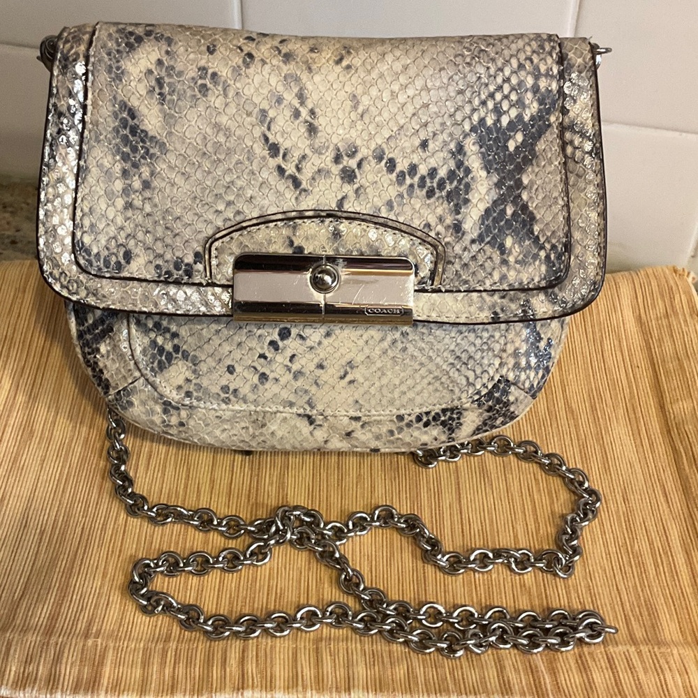 Coach Snakeskin Python Crossbody Bag with Silver … - image 3